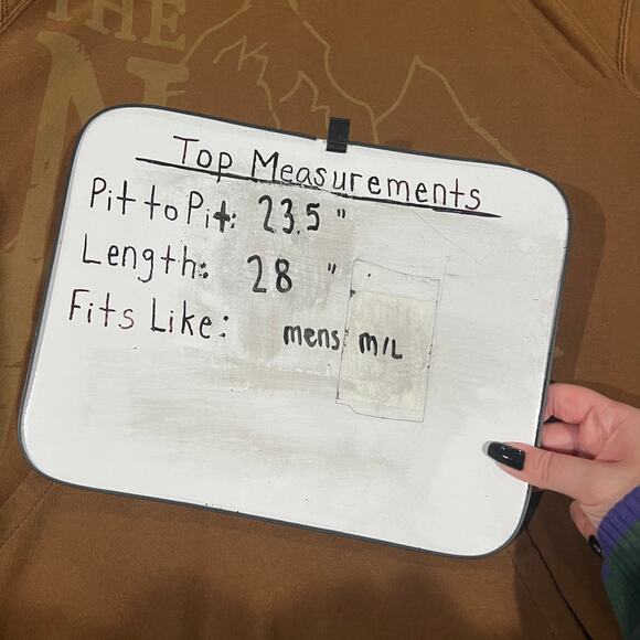 Men's M A5 summit series The North Face scenic mountain hoodie sweatshirt tan - Picture 6 of 6